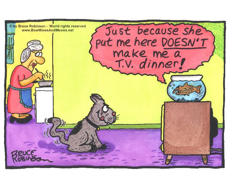 Courtesy of Bruce Robinson of BowWowsAndMeows.net image04